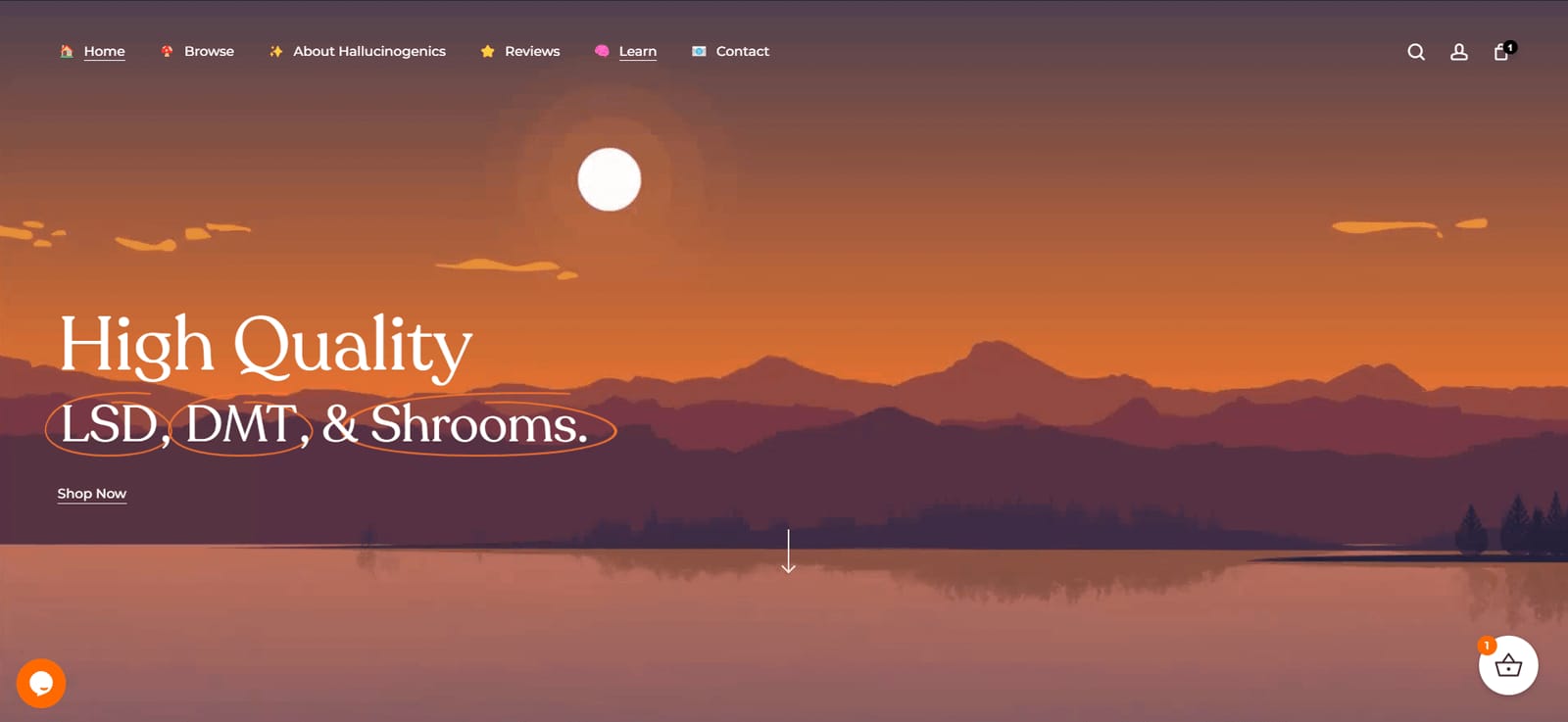 Homepage of the Hallucinogenics online store